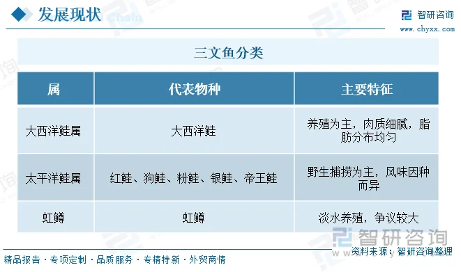 三文鱼分类