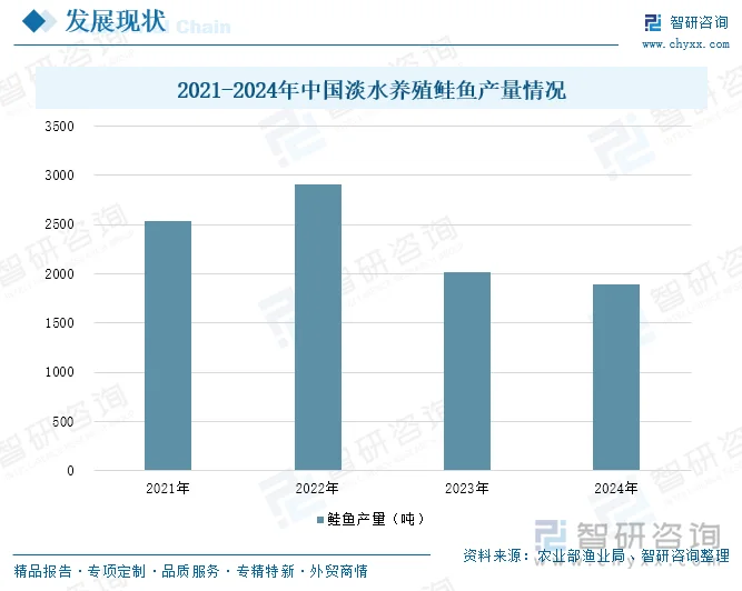 2021-2024年中国淡水养殖鲑鱼产量情况