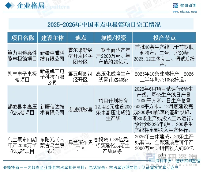 2025-2026年中国重点电极箔项目完工情况