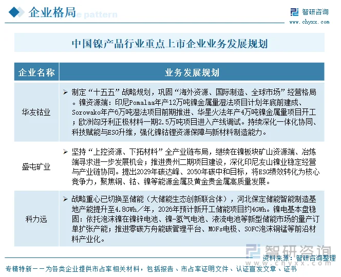 中国镍产品行业重点上市企业业务发展规划