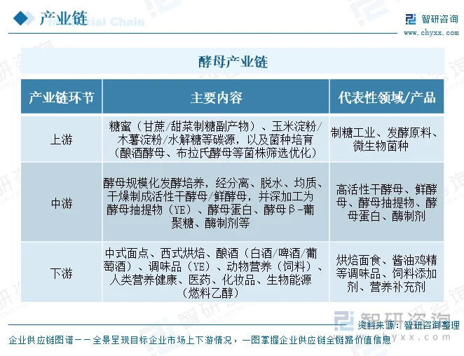 酵母产业链