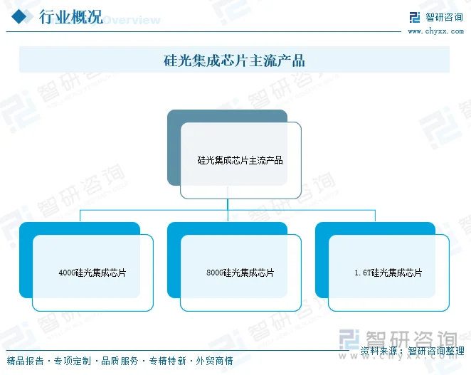 硅光集成芯片主流产品