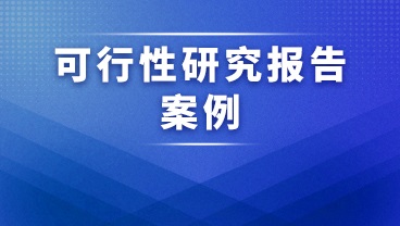 《高容量锂离子动力电池生产项目可行性研究报告》